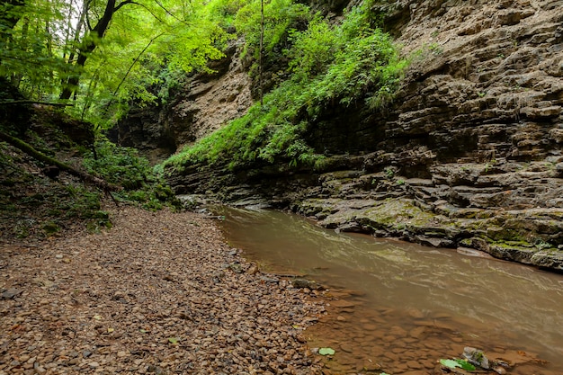 Mountain river Republic of Adygea