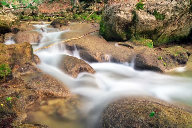 Mountain river. A stream of water in forest and mountain terrain