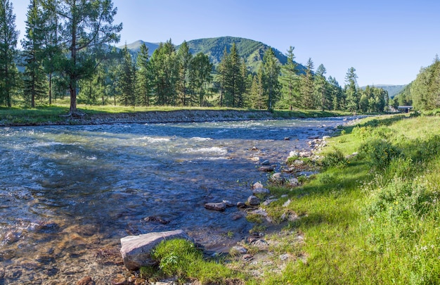 Mountain river on a summer morning