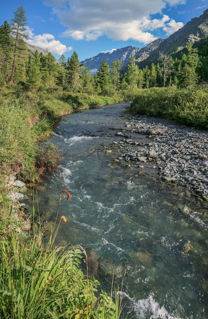 Foto fiume di montagna in una giornata di sole estivo