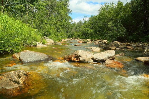 Photo mountain river at summer