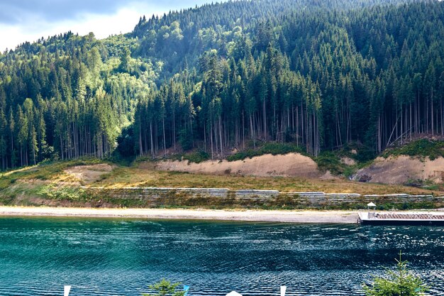 Mountain river surrounded by mountains. Sheer cliffs . blue clear water of the river. Rocky stones and forest Alpine landscape.