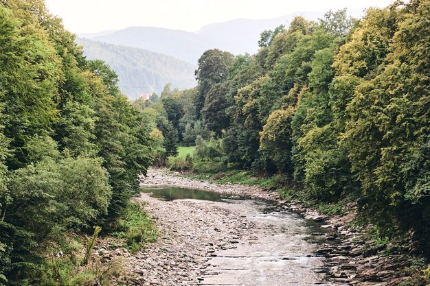 Mountain river surrounded by mountains. Sheer cliffs . blue clear water of the river. Rocky stones and forest Alpine landscape.