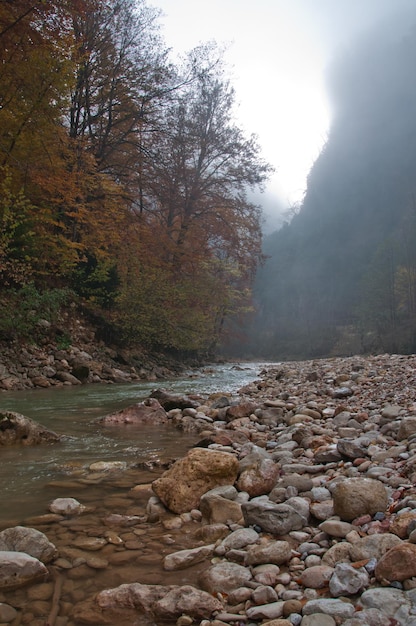 Un fiume di montagna che scorre tra le montagne guam gorge