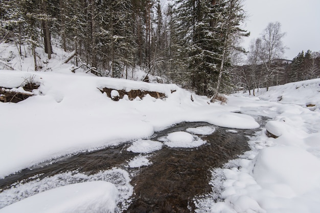 Fiume di montagna nella foresta invernale