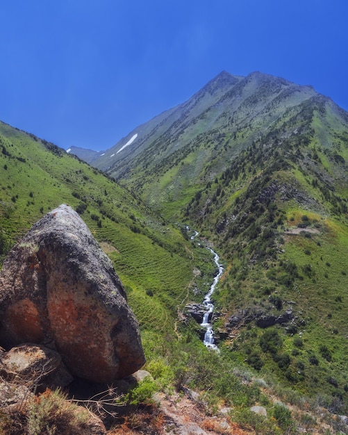 写真 カスケードの山の川夏の峡谷の野原 パノラマ景色 空から見る