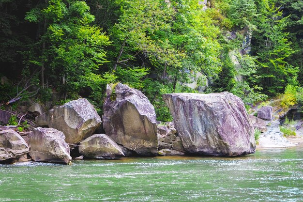 Горная река с огромными камнями на берегу летом