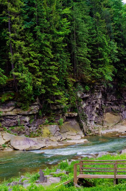 Горная река с быстрым течением скал с водопадом летом