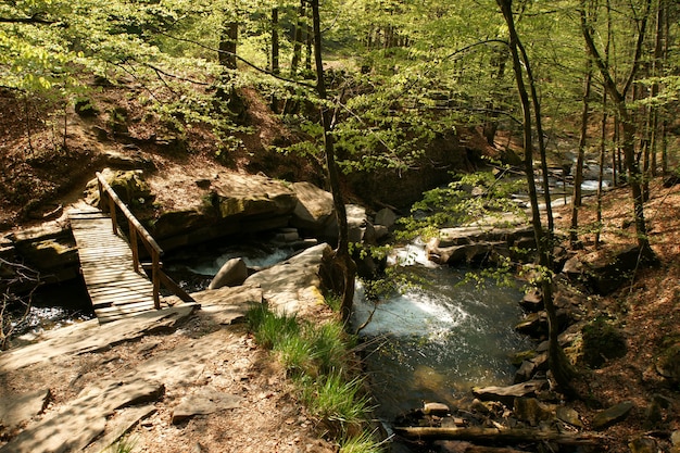 Mountain river with wooden bridge in spring time