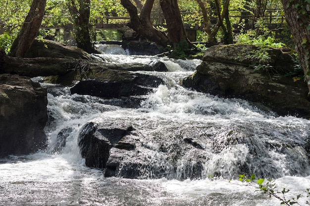 Mountain river