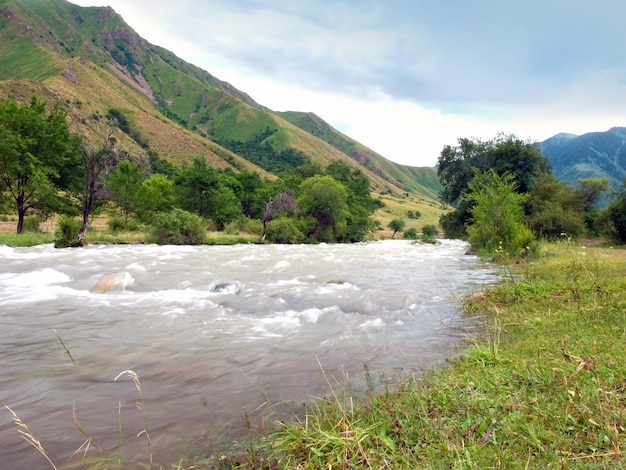 Mountain river