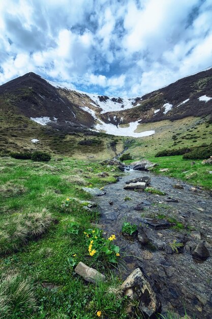 Mountain rivermountain river in the highlands green slopes of the ukrainian carpathians still snowcapped mountains of the svydivets massif a mountain lake and a stream flowing from it