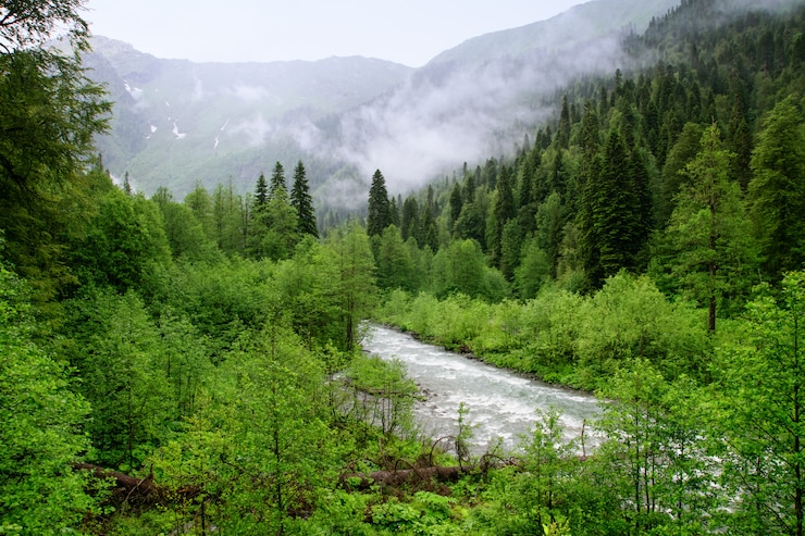 Photo mountain rivers of abkhazia