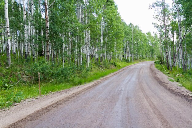 Mountain road near Crested Butte, Colorado.