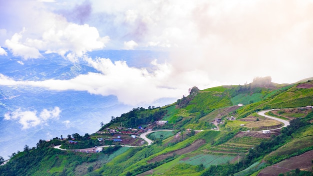 Phu Hin Rong Kla国立公園の（phu tubberk）で山の道