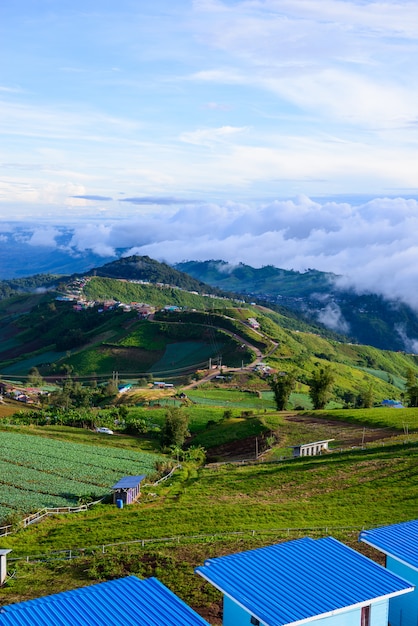 Phu Hin Rong Kla国立公園の（phu tubberk）で山の道