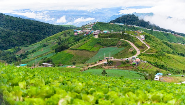 Горная дорога в (phu tubberk) в национальном парке Фу Хин Ронг Кла