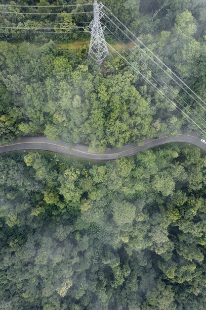 雨と霧の日の山道、パイへの道