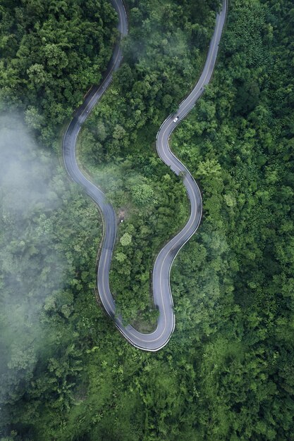 雨と霧の日の山道、パイへの道