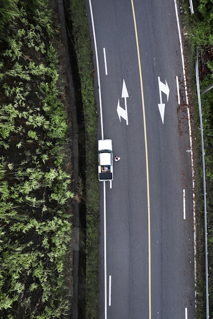 雨と霧の日の山道、パイへの道