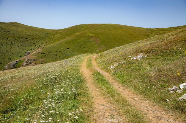 Strada di montagna nel paesaggio della cresta primaverile