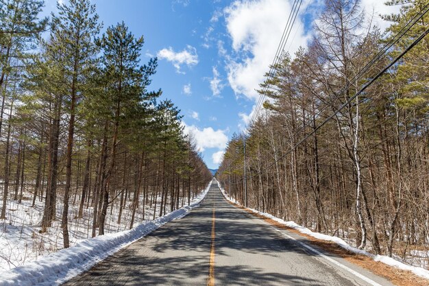 Mountain road in winter