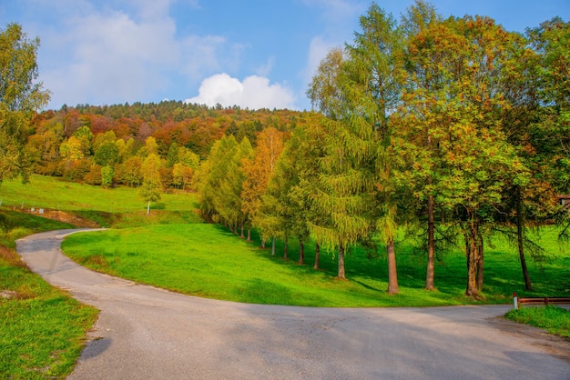 Mountain road