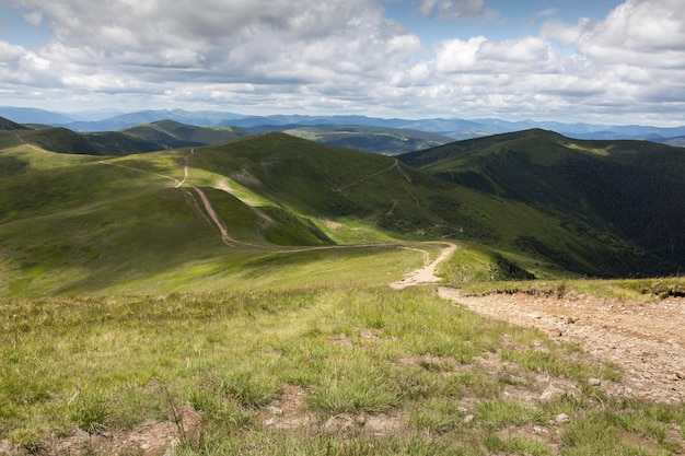 Strade di montagna lungo cime verdi nei carpazi rurali