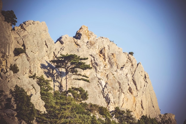 青空に映える山の岩と木々