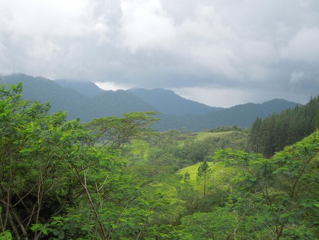 スリランカの山の風景