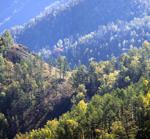 Mountain slopes overgrown with dense forest