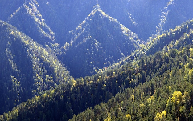 Mountain slopes overgrown with dense forest