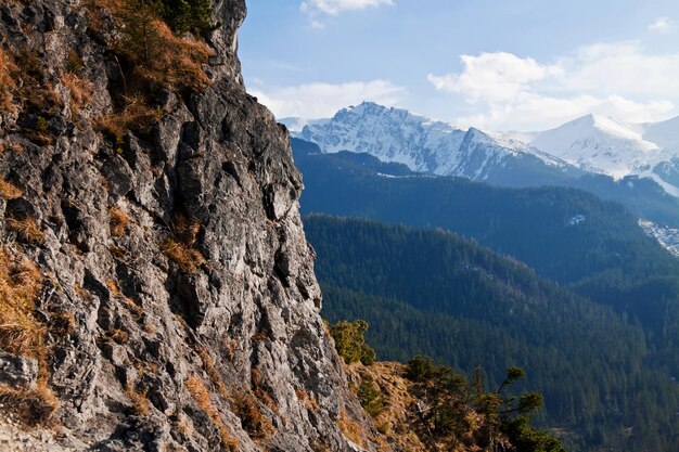 Mountain snowy landscape with rock