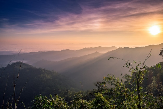 Photo mountain soft fog scenic sunrise at morning