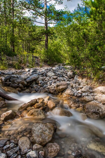 Mountain stream in coniferous forest blurred movement of water among the stones