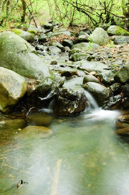 A mountain stream flows over rocks into a lake picturesque\
river mountains of crimea crimean mountains crimean peninsula the\
peninsula was annexed to the russian federation ukraine