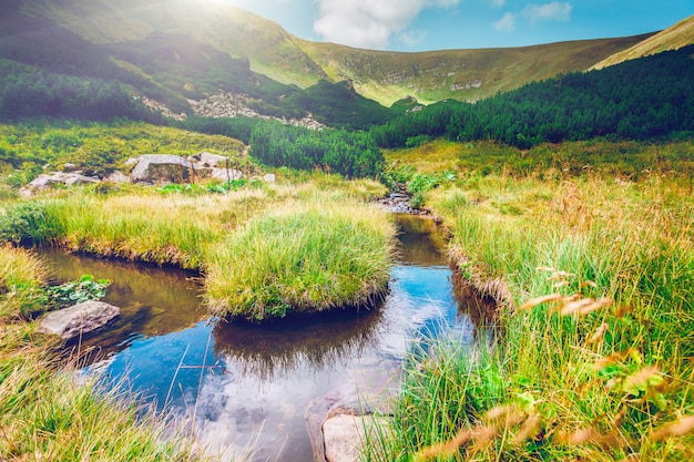 Mountain stream in the morning