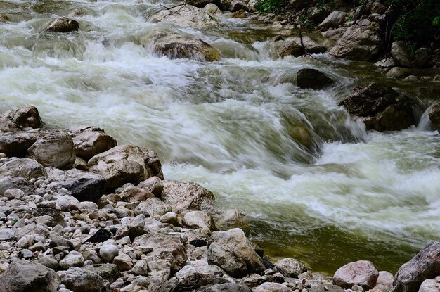 Mountain stream in the mountains