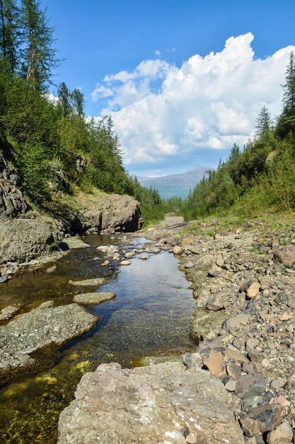 Mountain stream on the Putorana plateau