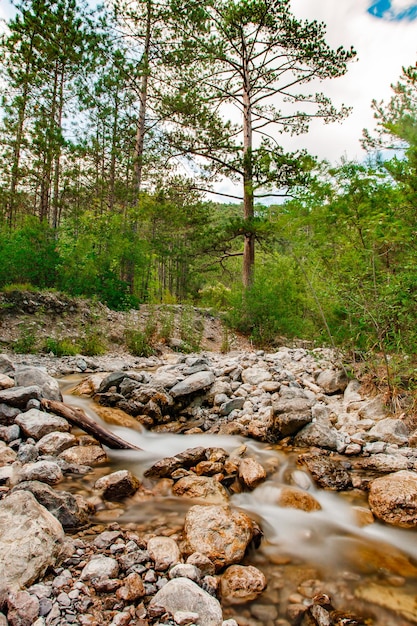 Mountain stream among the rocks in forest blurred movement of water pine trees