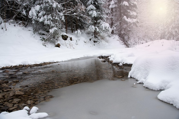 Mountain stream in snowcovered winter forest