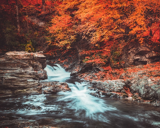 Mountain stream