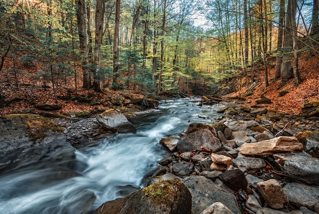 Mountain stream