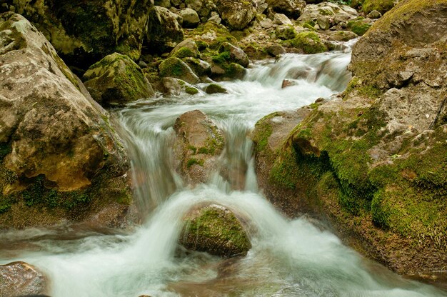 Mountain stream