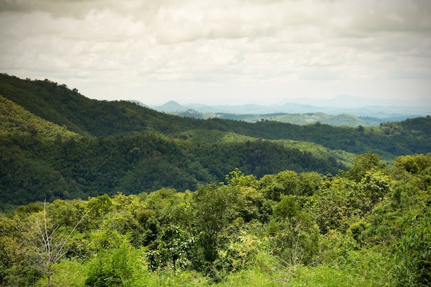 Photo mountain summer landscape