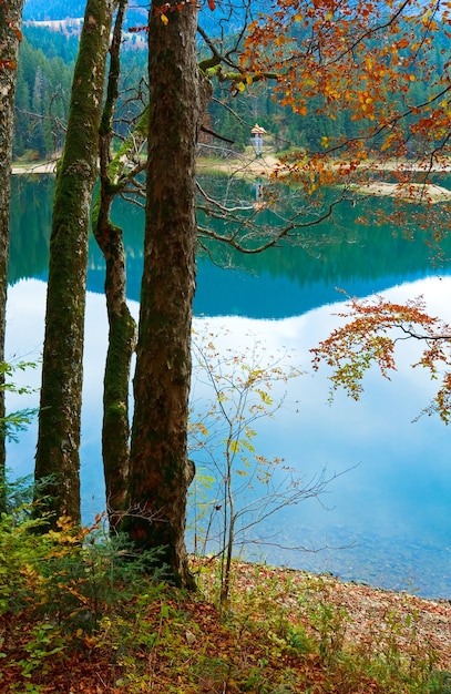 가을 나무 나뭇 가지를 통해 산 Synevir 호수 viev