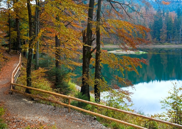 가을 나무 나뭇 가지를 통해 산 Synevir 호수보기