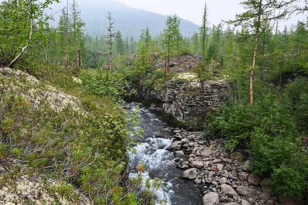 Mountain taiga on the Putorana plateau