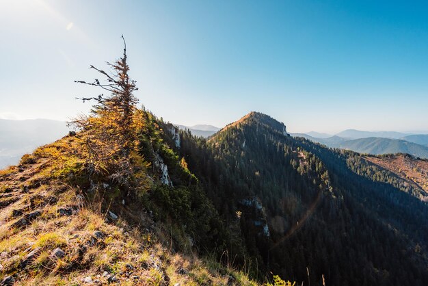 写真 タトラス山脈の風景 低タトラスのジャスナ谷からの景色 デメノフスカ谷からシナ山頂までのハイキング 低タラスのリプトフ スロバキア