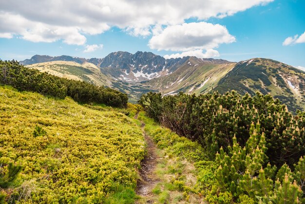 Mountain Tatras landscape View from ridge of the Low Tatras Hiking from certovica pass to chopok peak in Low Tatras Liptov Slovakia